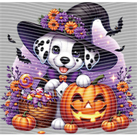 Halloween-WS 5717